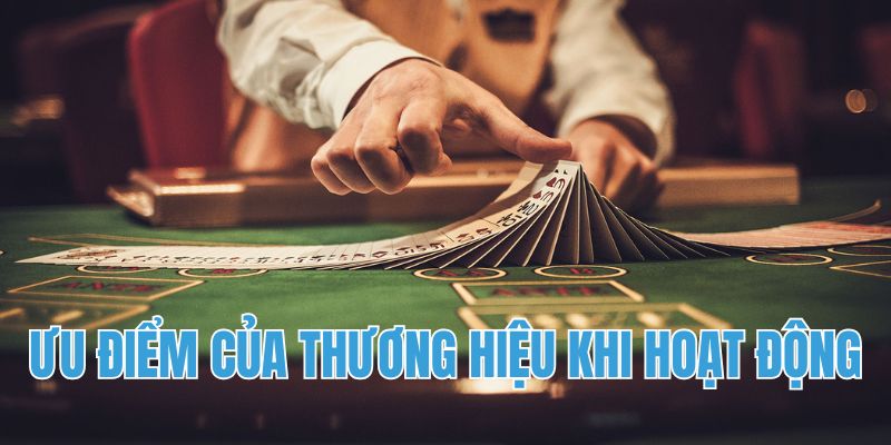 Ưu điểm của thương hiệu trên thị trường